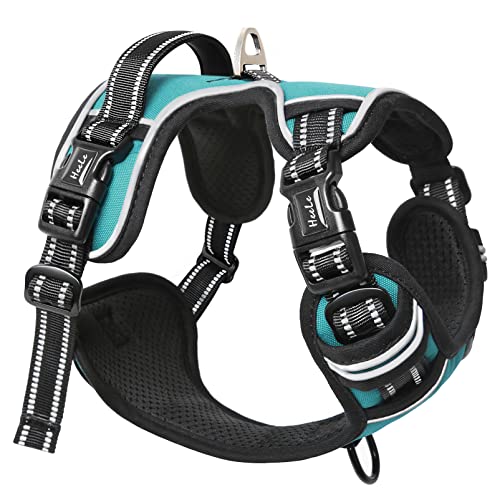 HEELE Hundegeschirr ohne Zug, Brustgeschirr für kleine Hund, einstellbares reflektierendes Hunde Geschirr, atmungsaktive Hundegeschirre mit gepolstertem Griff, No-Pull Dog Harness, Türkis, XS von HEELE