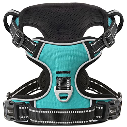 HEELE Hundegeschirr, Zugentlastung, reflektierend, mit gepolstertem Griff, Kontrolle, 2 Metallringe, Geschirr für kleine mittelgroße und große Hunde, Türkis, XS von HEELE