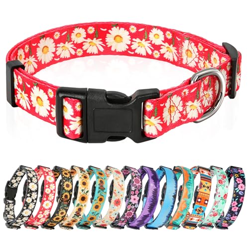HEELE Hundehalsband, Hunde Halsband für Welpen Kleine Mittlere Große Hunde, Gemustertes Hundehalsbänder Verstellbares, Komfort, Robustem HundeHalsband, Gänseblümchen Rot, S von HEELE