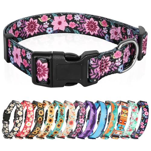 HEELE Hundehalsband, Hunde Halsband für Welpen Kleine Mittlere Große Hunde, Gemustertes Hundehalsbänder Verstellbares, Komfort, Robustem HundeHalsband, Galsang Schwarz, L von HEELE