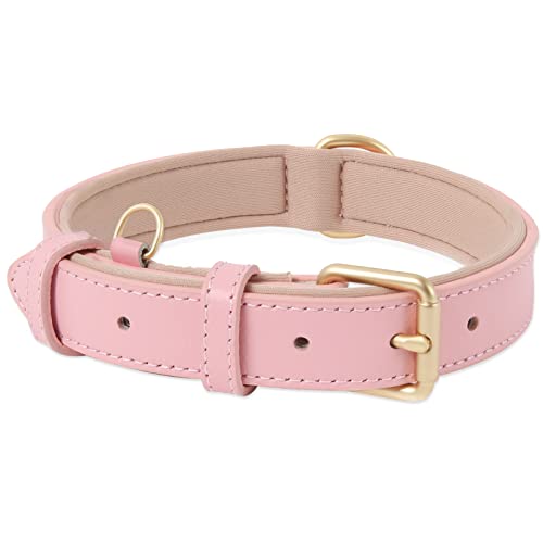 HEELE Hundehalsband, Hundehalsband Leder Hundehalsband mit Gepolstert und Echtes Leder, Verstellbar, Halsband für Welpen Mittlere Kleine Hunde, Rosa, M von HEELE