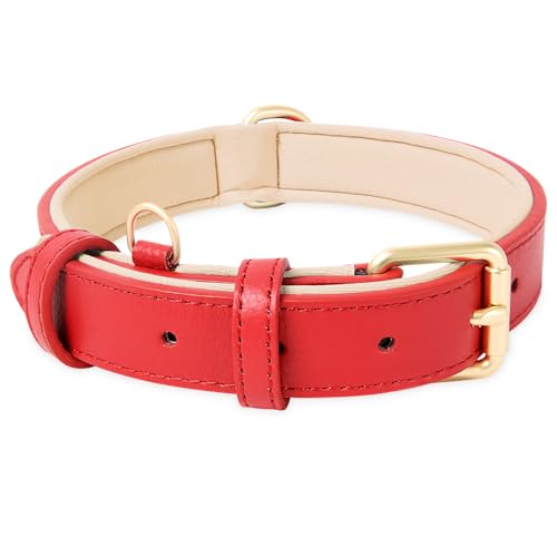 HEELE Hundehalsband, Hundehalsband Leder Hundehalsband mit gepolstert und echtes Leder, Verstellbar, Halsband für Welpen Kleine Mittel Große Hunde, Neu-Rot, M von HEELE