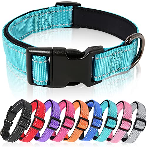 HEELE Hundehalsband, Hundehalsband aus Nylon, Reflektierend Halsband Hund mit Weich Neopren Gepolstert für Welpen Kleine Mittel Große Hunde Läng Einstellbereich 34-52 cm, Himmelblau, M von HEELE