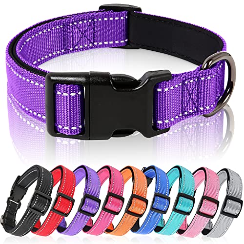 HEELE Hundehalsband, Hundehalsband aus Nylon, Reflektierend Halsband Hund mit Weich Neopren Gepolstert für Welpen Kleine Mittel Große Hunde Läng Einstellbereich 40-66 cm, Lila, L von HEELE