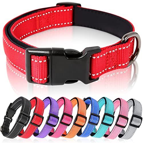 HEELE Hundehalsband, Hundehalsband aus Nylon, Reflektierend Halsband Hund mit Weich Neopren Gepolstert für Welpen Kleine Mittel Große Hunde, Rot, M von HEELE