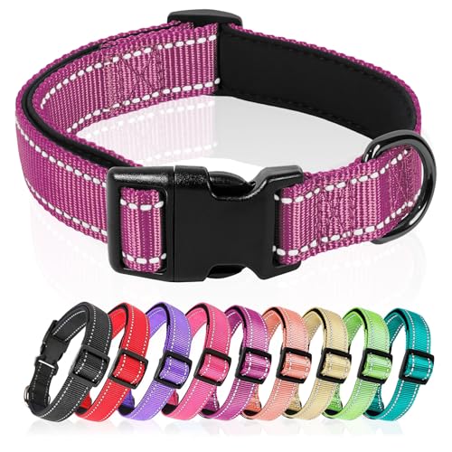 HEELE Hundehalsband, Hundehalsband aus Nylon, Reflektierend Halsband Hund mit Weich Neopren Gepolstert für Welpen Kleine Mittel Große Hunde Läng Einstellbereich 20-30 cm, Magentarot, XS von HEELE