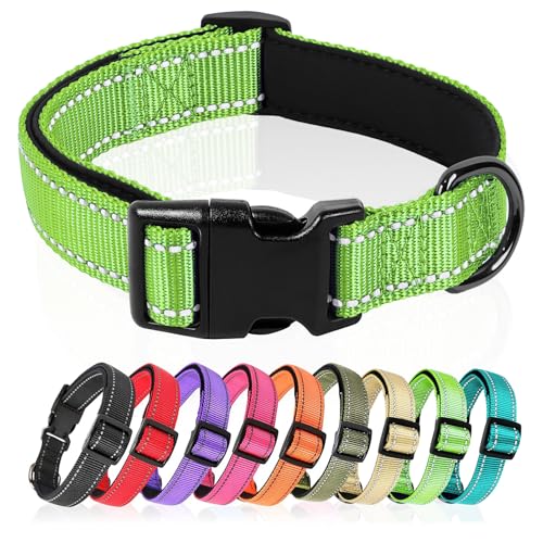 HEELE Hundehalsband, Hundehalsband aus Nylon, Reflektierend Halsband Hund mit Weich Neopren Gepolstert für Welpen Kleine Mittel Große Hunde Läng Einstellbereich 20-30 cm, RasenGrün, XS von HEELE