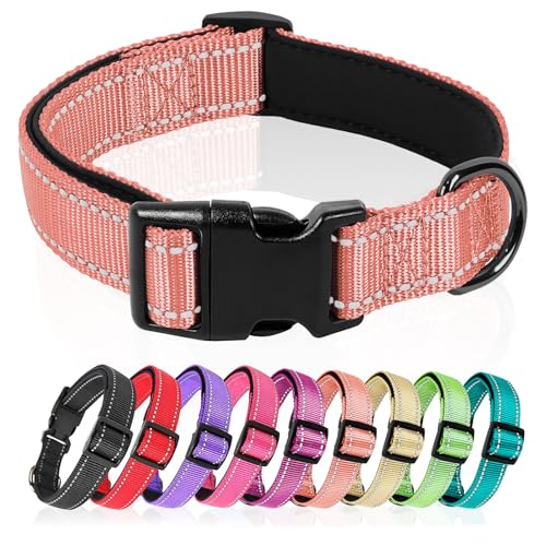 HEELE Hundehalsband, Hundehalsband aus Nylon, Reflektierend Halsband Hund mit Weich Neopren Gepolstert für Welpen Kleine Mittel Große Hunde Läng Einstellbereich 26-38cm, Koralle, S HEELE Hundehalsband, Hundehalsband aus Nylon, Reflektierend Halsband Hund mit Weich Neopren Gepolstert für Welpen Kleine Mittel Große Hunde Läng Einstellbereich 26-38cm, Koralle, S von HEELE