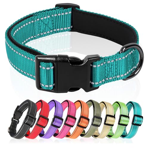 HEELE Hundehalsband, Hundehalsband aus Nylon, Reflektierend Halsband Hund mit Weich Neopren Gepolstert für Welpen Kleine Mittel Große Hunde Läng Einstellbereich 40-66 cm, Türkis, L von HEELE