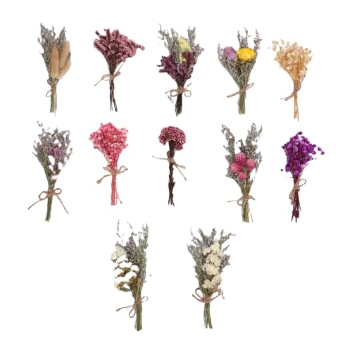HEEPDD 12 PCs Getrocknete Blumenstrauß Handgefertigte Trockene Blumen Dekor Konservierte Blumen für die Hochzeitsvase -Esstischdekoration mit Geruchloser Langlebiger Länge von HEEPDD