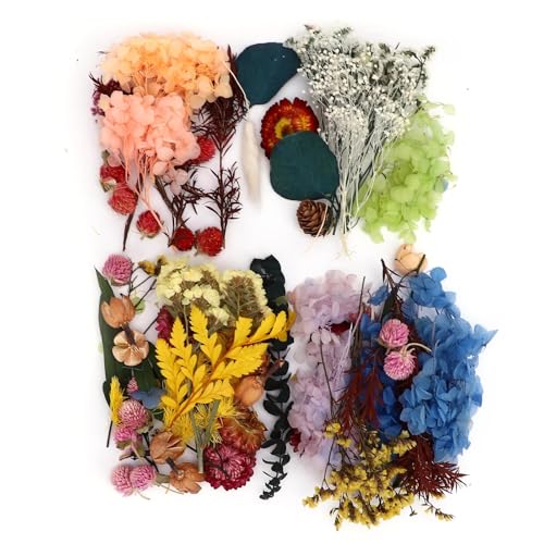HEEPDD 4 Kisten Getrocknete Blumen Bündel, Mehrere Lebendige Farben und Typen Handgefertigte Trockene Blüten Gras Set für Häusliche Blumenarrangements Machen Aromatherapie Kerzenlüfter von HEEPDD