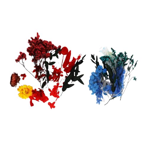 HEEPDD Getrocknete Blütenarrangements Sperrt Getrocknete Blumen für Handwerk 2 Box Multifunktional Getrocknete Blumen Dekor mit Lebendigen Farben für Nagelkunstharzform Schmuck Home von HEEPDD