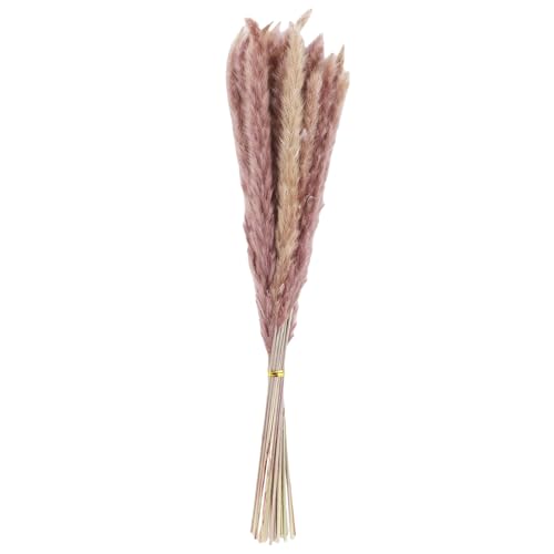 HEEPDD Getrocknete Blumen Bouquet mit STEM Mini Reed Trockenblüten mit Stängeln Getrocknete Blumen und Stiele für Hausdekoration Blumenarrangements Hochzeitsfeierbüro Braun von HEEPDD