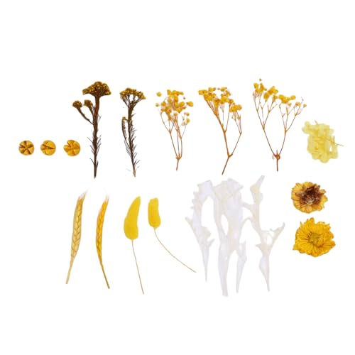 HEEPDD Getrocknete Blumenbündel Getrocknete Blumenherstellung Materialien Kit Home Decor Supplies Home Dekoration mit Lebendigen Farben Elegante Berührung für Harzhandwerk von HEEPDD