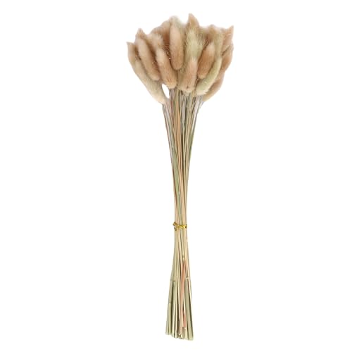 HEEPDD Getrocknetes Kaninchen -Heck -Gras -Dekor Luft Getrocknetes Grasbündel für Home Wedding Decor Blumenarrangements Fotografie Requisite mit Weiche Textur Anmutige Haltung von HEEPDD