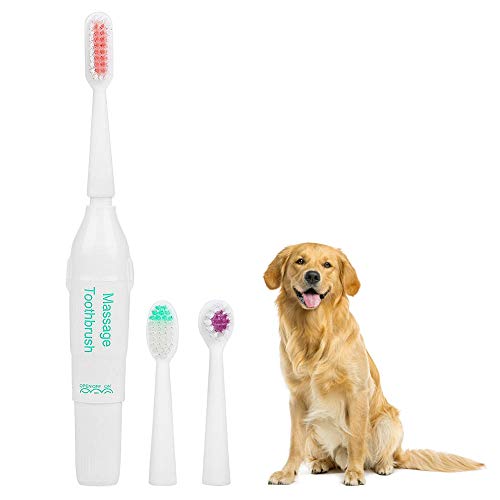 HEEPDD Hundezahnbürste Empfohlen von Tierärzten Professionelle elektrische Zahnbürste mit 2 Bürstenköpfen ohne Akku für Hund und Katze (Grün) von HEEPDD