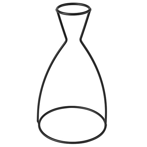 Vase Rahmen, Kreative Formen Schwarz Metall Pflanzen Tabletop Display Halter Eisen Kunst Rahmen Ständer für Tisch Büro Wohnkultur(EIN) von HEEPDD