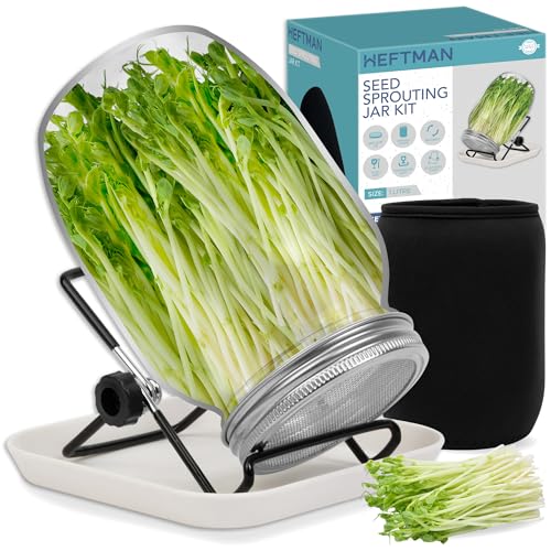 HEFTMAN Saatgut-Keimglas-Set - Microgreens Anzuchtset Mason Sprossing Jar (Samen nicht enthalten) von HEFTMAN