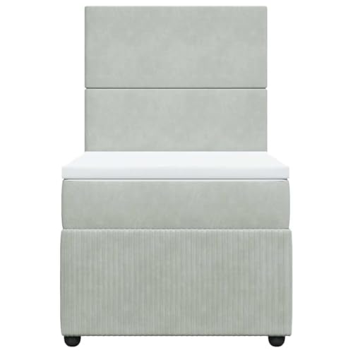 Boxspringbett mit Matratze Hellgrau 100x200 cm Samt Daybed Bettgestell Familienbett Einzelbetten für Wohnbereich Schlafzimmer Herberge Gästezimmer von HEFZGDB