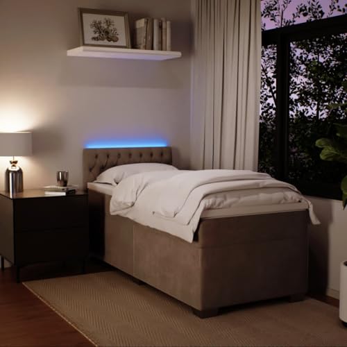 Boxspringbett mit Matratze Hellgrau 100x200 cm Samt Ehebett Bed Frame Familienbett Doppelbett für Gästezimmer Wohnbereich Herberge Schlafzimmer Boxspringbett mit Matratze Hellgrau 100x200 cm Samt Ehebett Bed Frame Familienbett Doppelbett für Gästezimmer Wohnbereich Herberge Schlafzimmer von HEFZGDB
