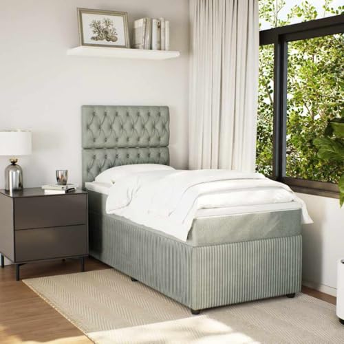 Boxspringbett mit Matratze Hellgrau 100x200 cm Samt Single Bed Bed Frame Familienbett Bettrahmen für Herberge Wohnbereich Schlafzimmer Gästezimmer von HEFZGDB