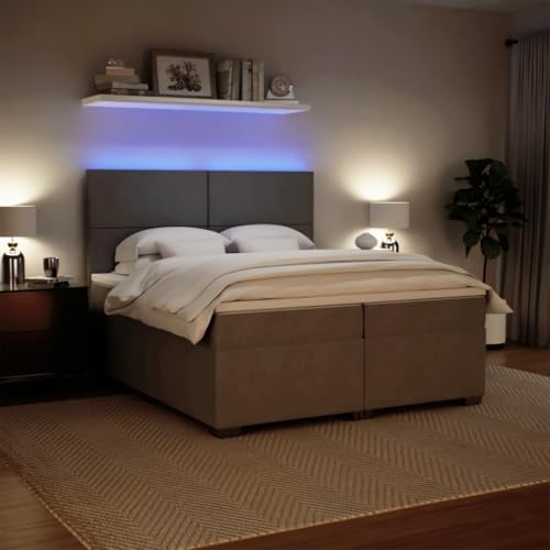 Boxspringbett mit Matratze Hellgrau 200x200 cm Samt Daybed Gästebett Familienbett Doppelbett für Gästezimmer Schlafzimmer Herberge Wohnbereich von HEFZGDB