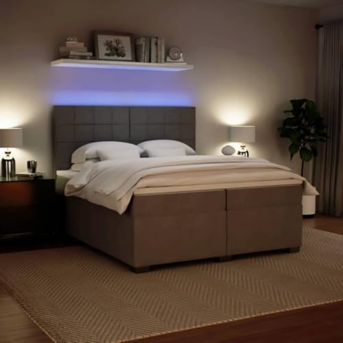 Boxspringbett mit Matratze Hellgrau 200x200 cm Samt Daybed Gästebett Familienbett Doppelbett für Gästezimmer Schlafzimmer Herberge Wohnbereich von HEFZGDB