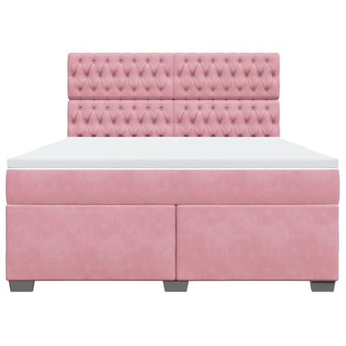 Boxspringbett mit Matratze Rosa 180x200 cm Samt Jugendbett Gästebett Einzelbetten Doppelbett für Schlafzimmer Gästezimmer Herberge Wohnbereich Boxspringbett mit Matratze Rosa 180x200 cm Samt Jugendbett Gästebett Einzelbetten Doppelbett für Schlafzimmer Gästezimmer Herberge Wohnbereich von HEFZGDB