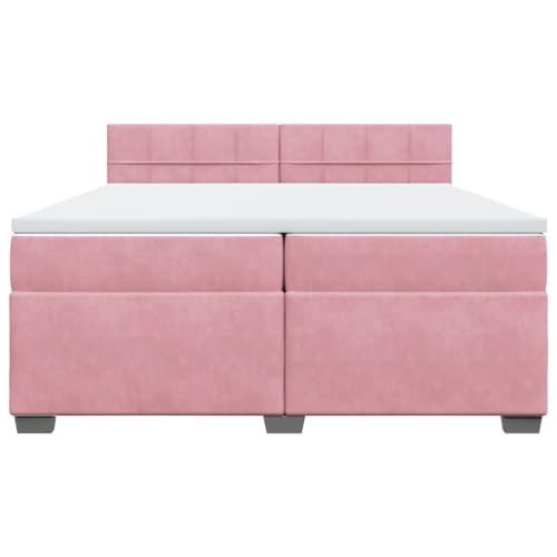 Boxspringbett mit Matratze Rosa 200x200 cm Samt Ehebett Bed Frame Familienbett Doppelbett für Gästezimmer Wohnbereich Herberge Schlafzimmer Boxspringbett mit Matratze Rosa 200x200 cm Samt Ehebett Bed Frame Familienbett Doppelbett für Gästezimmer Wohnbereich Herberge Schlafzimmer von HEFZGDB