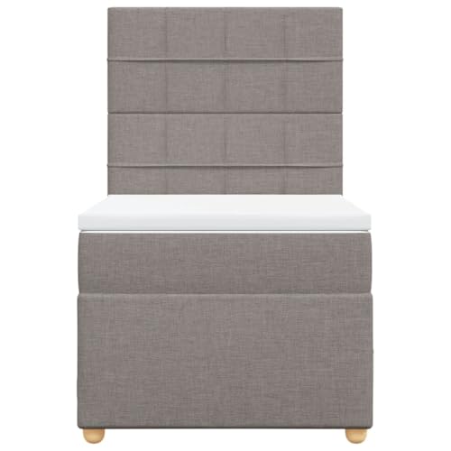 Boxspringbett mit Matratze Taupe 100x200 cm Stoff Double Bed Gästebett Bed Frame Doppelbett für Herberge Schlafzimmer Wohnbereich Gästezimmer von HEFZGDB