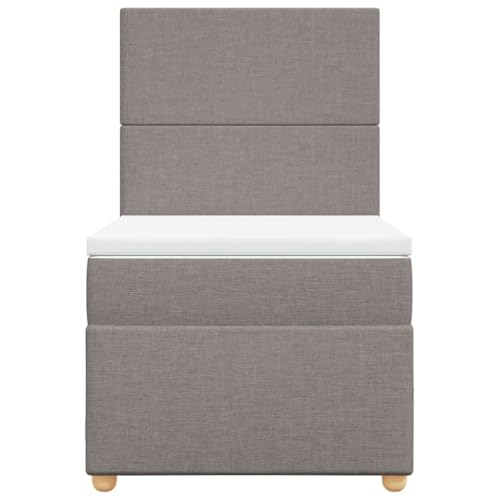 Boxspringbett mit Matratze Taupe 100x200 cm Stoff Double Bed Gästebett Bed Frame Doppelbett für Herberge Schlafzimmer Wohnbereich Gästezimmer von HEFZGDB