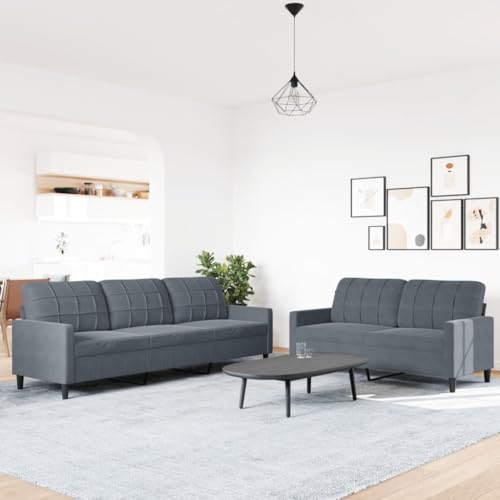 HEFZGDB 2-TLG. Sofagarnitur mit Kissen Dunkelgrau Samt Gartenlounge Jugendsofa Kleine Sofa Big Sofa für Empfangsraum Büro Wohnbereich Schlafzimmer von HEFZGDB