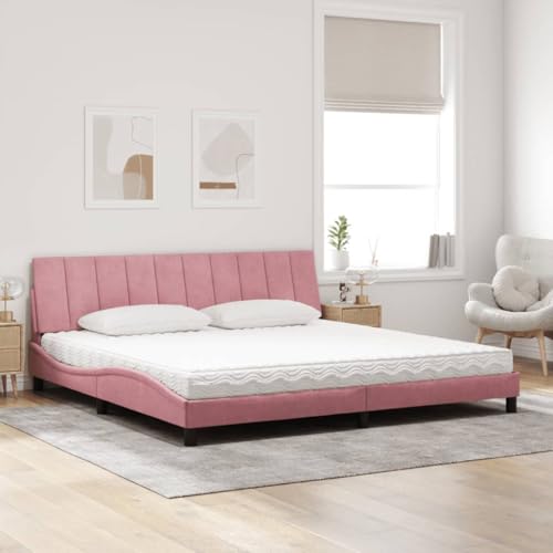 HEFZGDB Bett mit Matratze Rosa 200x200 cm Samt Jugendbett Bed Frame Familienbett Doppelbett für Gästezimmer Herberge Wohnbereich Schlafzimmer HEFZGDB Bett mit Matratze Rosa 200x200 cm Samt Jugendbett Bed Frame Familienbett Doppelbett für Gästezimmer Herberge Wohnbereich Schlafzimmer von HEFZGDB