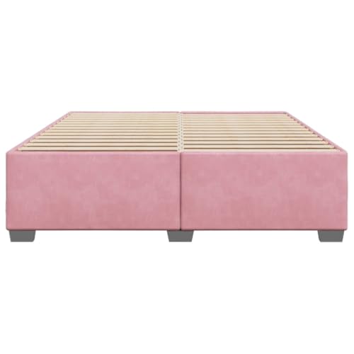 HEFZGDB Bettgestell Rosa 180x200 cm Samt Single Bed Familienbett Einzelbetten Doppelbett für Herberge Gästezimmer Schlafzimmer Wohnbereich von HEFZGDB