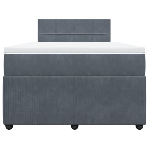 HEFZGDB Boxspringbett mit Matratze Dunkelgrau 120x190 cm Samt Daybed Bettgestell Bed Frame Doppelbett für Wohnbereich Schlafzimmer Gästezimmer Herberge von HEFZGDB