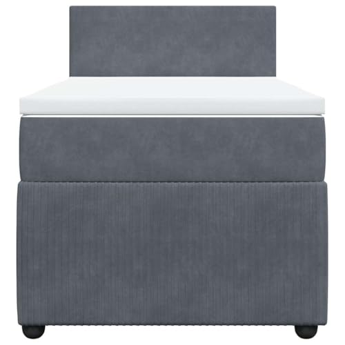 HEFZGDB Boxspringbett mit Matratze Dunkelgrau 80x200 cm Samt Daybed Bettgestell Bed Frame Doppelbett für Wohnbereich Schlafzimmer Gästezimmer Herberge von HEFZGDB