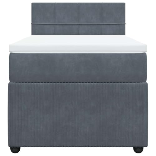 HEFZGDB Boxspringbett mit Matratze Dunkelgrau 90x200 cm Samt Daybed Bettgestell Bed Frame Doppelbett für Wohnbereich Schlafzimmer Gästezimmer Herberge von HEFZGDB