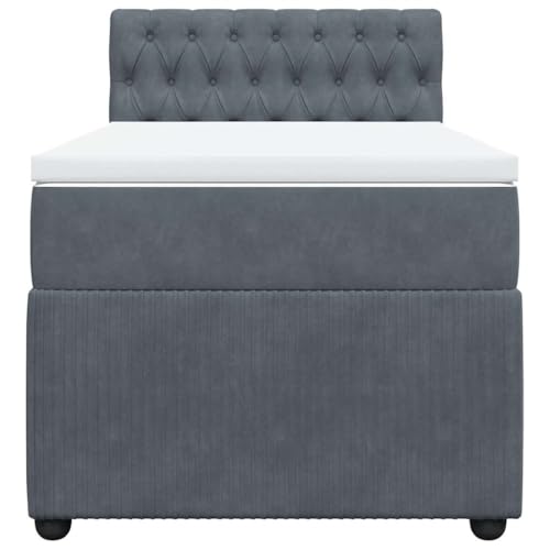 HEFZGDB Boxspringbett mit Matratze Dunkelgrau 90x200 cm Samt Daybed Bettgestell Bed Frame Doppelbett für Wohnbereich Schlafzimmer Gästezimmer Herberge von HEFZGDB