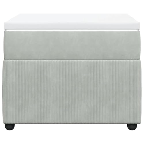 HEFZGDB Boxspringbett mit Matratze Hellgrau 100x200 cm Samt Ehebett Bed Frame Familienbett Doppelbett für Gästezimmer Herberge Schlafzimmer Wohnbereich von HEFZGDB