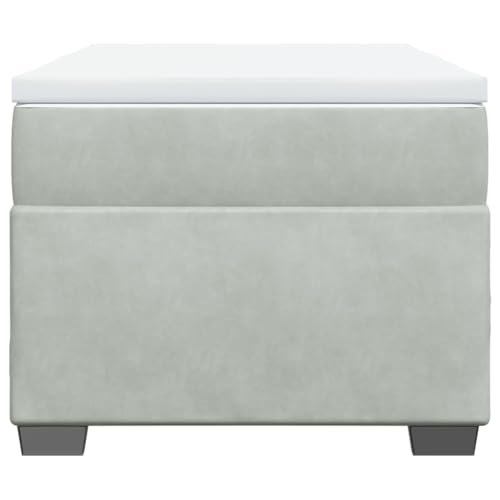 HEFZGDB Boxspringbett mit Matratze Hellgrau 100x200 cm Samt Single Bed Bed Frame Familienbett Bettrahmen für Wohnbereich Herberge Gästezimmer Schlafzimmer von HEFZGDB