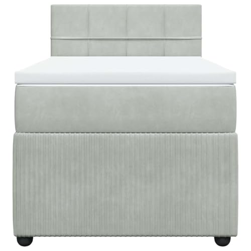 HEFZGDB Boxspringbett mit Matratze Hellgrau 80x200 cm Samt Daybed Bettgestell Bed Frame Doppelbett für Wohnbereich Schlafzimmer Gästezimmer Herberge von HEFZGDB
