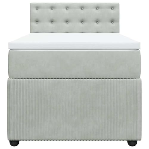 HEFZGDB Boxspringbett mit Matratze Hellgrau 80x200 cm Samt Daybed Bettgestell Bed Frame Doppelbett für Wohnbereich Schlafzimmer Gästezimmer Herberge von HEFZGDB