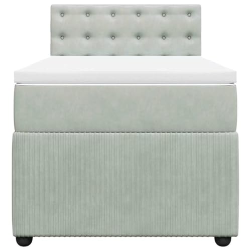 HEFZGDB Boxspringbett mit Matratze Hellgrau 90x190 cm Samt Daybed Bettgestell Bed Frame Doppelbett für Wohnbereich Schlafzimmer Gästezimmer Herberge von HEFZGDB