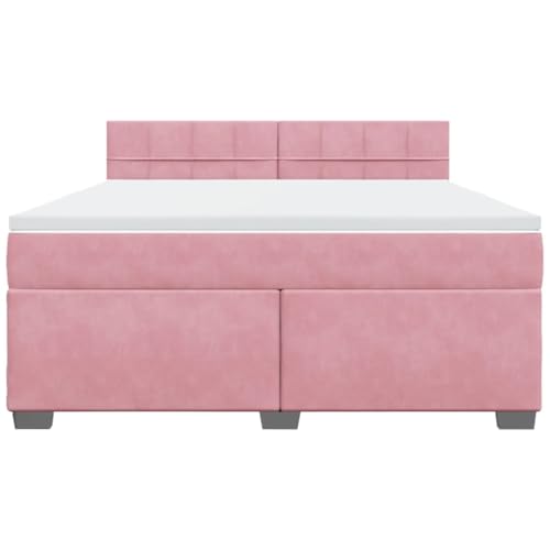 HEFZGDB Boxspringbett mit Matratze Rosa 180x200 cm Samt Einzelbett Familienbett Einzelbetten Doppelbett für Schlafzimmer Gästezimmer Herberge Wohnbereich HEFZGDB Boxspringbett mit Matratze Rosa 180x200 cm Samt Einzelbett Familienbett Einzelbetten Doppelbett für Schlafzimmer Gästezimmer Herberge Wohnbereich von HEFZGDB