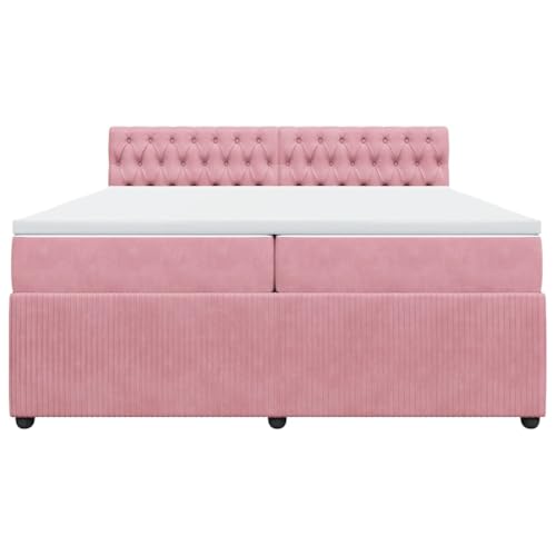 HEFZGDB Boxspringbett mit Matratze Rosa 200x200 cm Samt Daybed Bettgestell Bed Frame Doppelbett für Wohnbereich Schlafzimmer Gästezimmer Herberge HEFZGDB Boxspringbett mit Matratze Rosa 200x200 cm Samt Daybed Bettgestell Bed Frame Doppelbett für Wohnbereich Schlafzimmer Gästezimmer Herberge von HEFZGDB