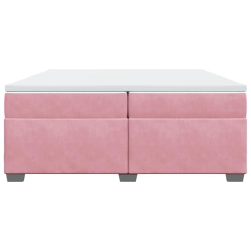 HEFZGDB Boxspringbett mit Matratze Rosa 200x200 cm Samt Single Bed Bed Frame Familienbett Bettrahmen für Wohnbereich Herberge Gästezimmer Schlafzimmer HEFZGDB Boxspringbett mit Matratze Rosa 200x200 cm Samt Single Bed Bed Frame Familienbett Bettrahmen für Wohnbereich Herberge Gästezimmer Schlafzimmer von HEFZGDB