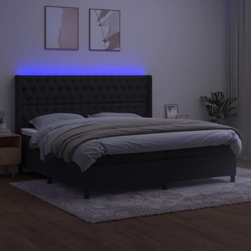 HEFZGDB Boxspringbett mit Matratze & LED Schwarz 200x200 cm Samt Ehebett Gästebett Bed Frame Single Bed für Herberge Wohnbereich Schlafzimmer Gästezimmer HEFZGDB Boxspringbett mit Matratze & LED Schwarz 200x200 cm Samt Ehebett Gästebett Bed Frame Single Bed für Herberge Wohnbereich Schlafzimmer Gästezimmer von HEFZGDB