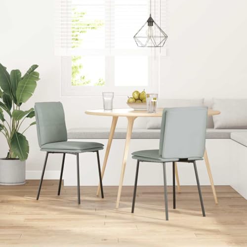 HEFZGDB Esszimmerstühle 2 STK. Hellgrau Samt Bequemer Stuhl Schminkstuhl Essstuhl Dining Chairs für Speisesaal Wohnstube Balkon Küche von HEFZGDB
