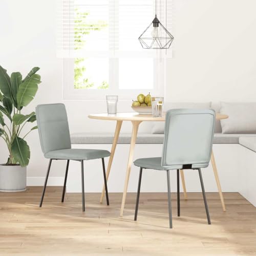 HEFZGDB Esszimmerstühle 2 STK. Hellgrau Samt Schminksessel Esszimmerstühle Schminkstuhl Dining Chairs für Wohnstube Küche Speisesaal Balkon von HEFZGDB