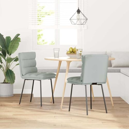 HEFZGDB Esszimmerstühle 2 STK. Hellgrau Samt Stuhl Wohnzimmer Sitzhocker Essstuhl Stuhl Küche für Wohnstube Balkon Speisesaal Küche von HEFZGDB